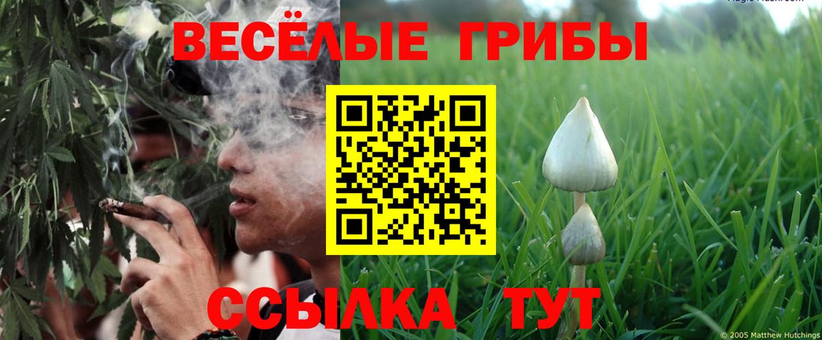 Галлюциногенные грибы ЛСД  Вход с VPN  Усинск 